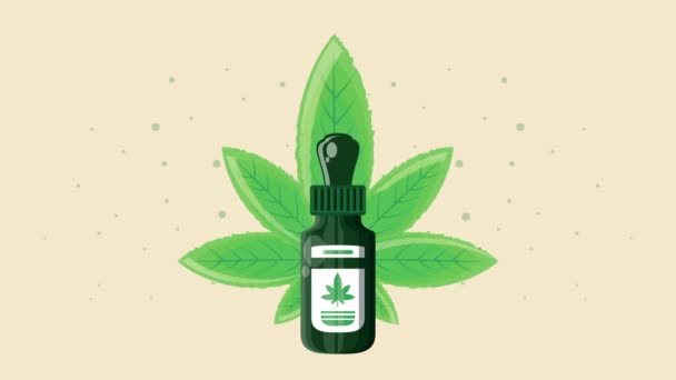 Medicinale cannabis druppelaar en blad animatie — Stockvideo