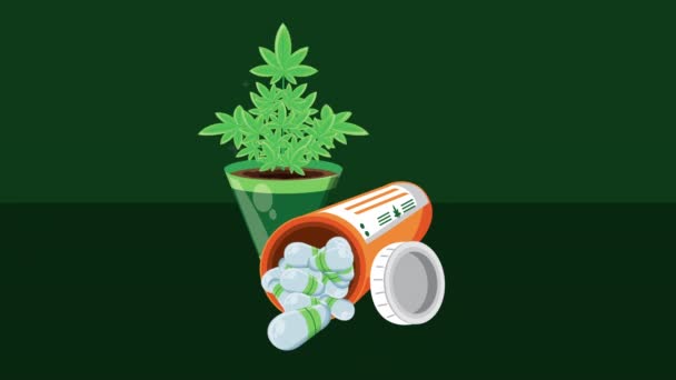 Píldoras de cannabis medicinal marihuana y animación vegetal — Vídeo de stock