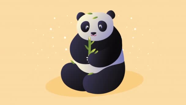 Asiatische Kultur Pandabär Animation — Stockvideo