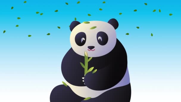 Азиатская культура панды едят бамбуковую анимацию — стоковое видео