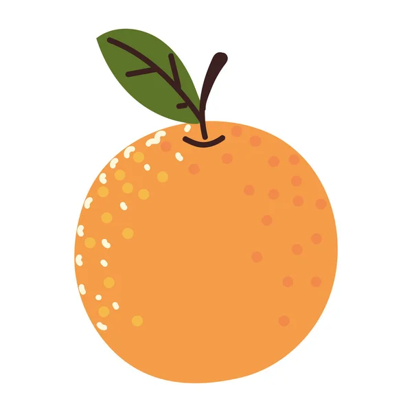 Φρούτο πορτοκαλί, φρέσκο — Διανυσματικό Αρχείο