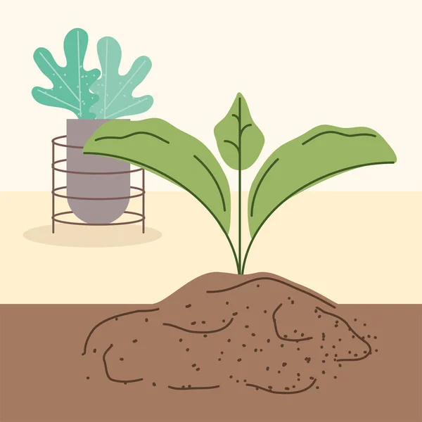 Plantación de brotes y plantas de interior — Vector de stock