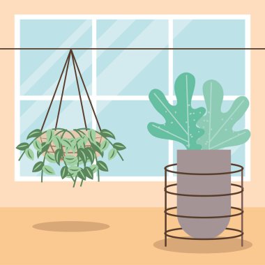 asılmış ev bitkisi.