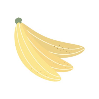 muz meyvesi tropikal