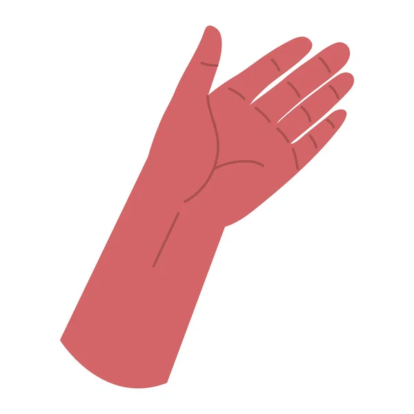 Mano mostrando la palma — Archivo Imágenes Vectoriales
