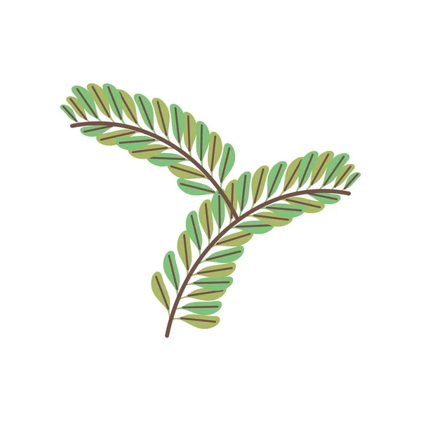 Branches feuilles nature — Image vectorielle