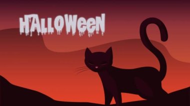 Mutlu cadılar bayramı mektupları Kediyle