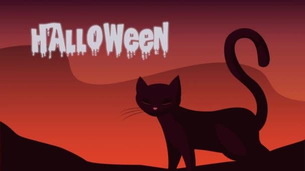 Szczęśliwy halloween litery z kotem — Wideo stockowe