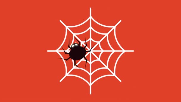 Animação feliz halloween com aranha na rede — Vídeo de Stock