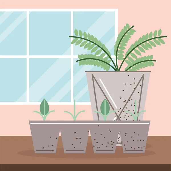 Groeiende spruiten en kamerplant — Stockvector