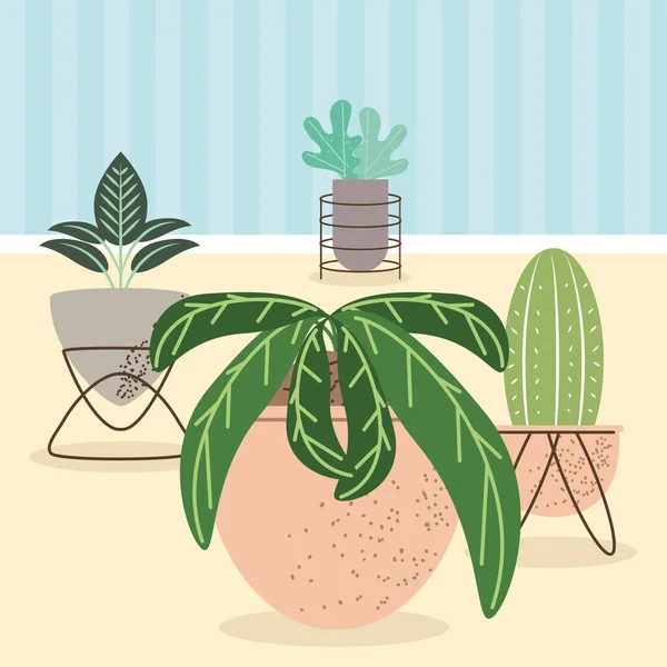 Plantas de sala decorativas interiores — Vetor de Stock