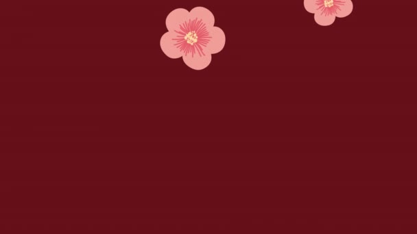 Korean culture animation with pink flowers pattern — Stock Video