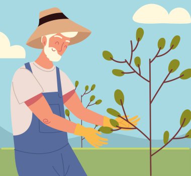 yaşlı adam ve ağaç