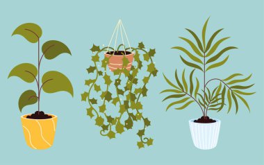 ev bitkisi yaprağı dekorasyonu