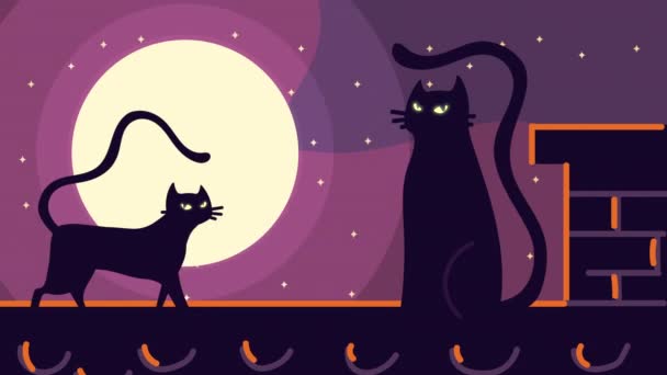 Glad halloween animation med svarta katter i väggen — Stockvideo