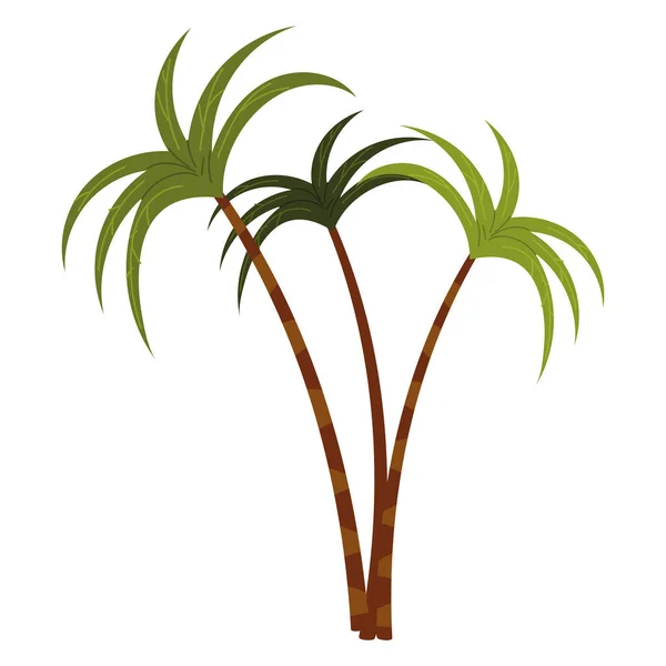 Palmeras de árboles tropicales — Vector de stock