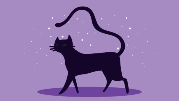 Happy halloween animation with black cat walking — Stock Video