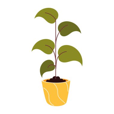 Çiçeklerin iç bahçesi