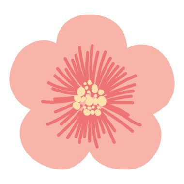 Kiraz çiçeği doğası