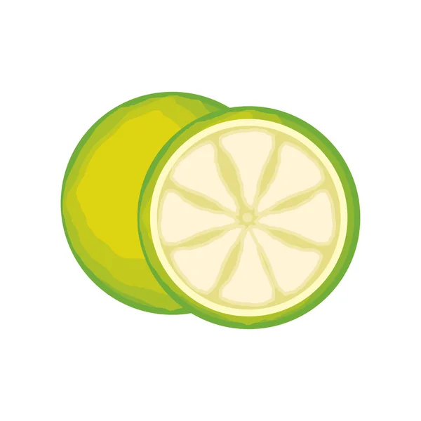 柑橘類のライムリーク — ストックベクタ
