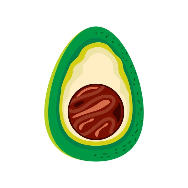 Halb frische Avocado — Stockvektor