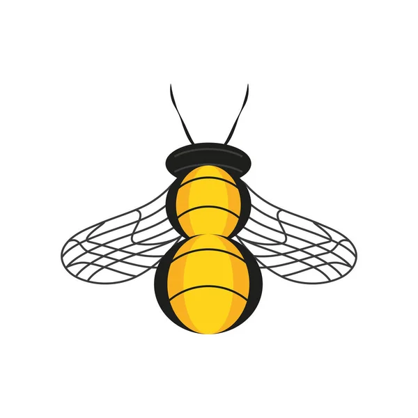 Insecto abeja animal — Vector de stock