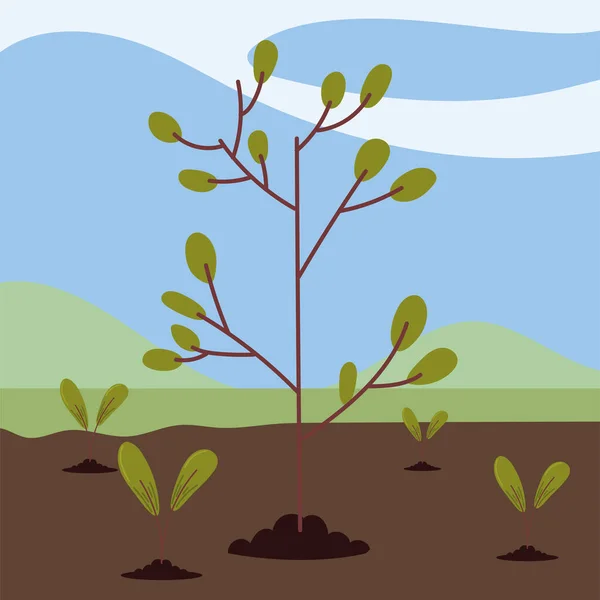 Árbol de crecimiento en el campo — Archivo Imágenes Vectoriales