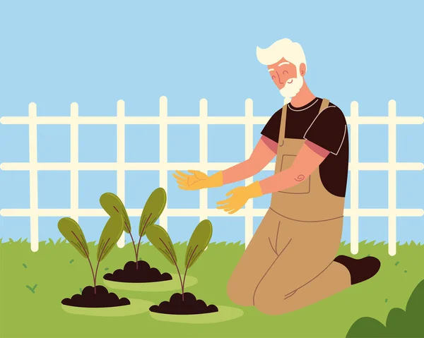 Hombre viejo plantando en el campo — Vector de stock