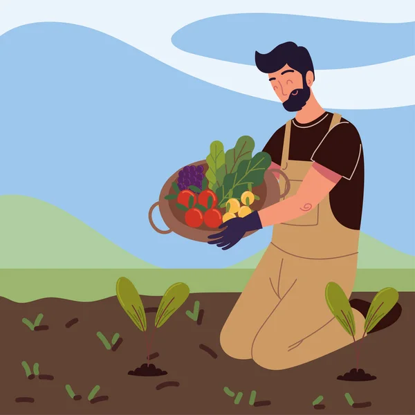 Agricultor recogiendo una verdura — Vector de stock