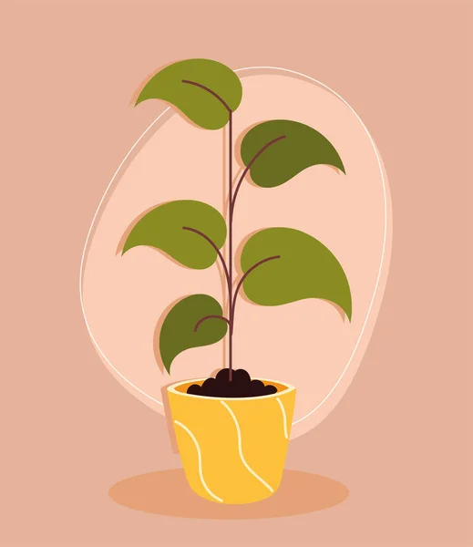 Hojas de vegetación de plantas de interior — Vector de stock