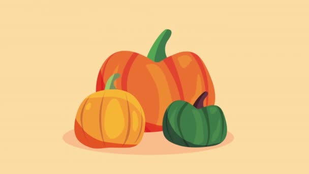 Automne saison citrouilles légumes animation — Video