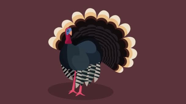 Selamat hari Thanksgiving animasi dengan kalkun — Stok Video