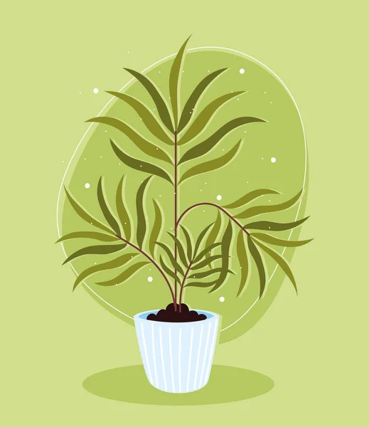 Planta de interior hojas ornamentales — Vector de stock