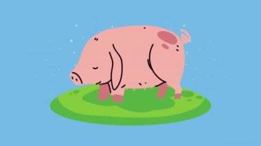 Domuzlu çiftlik yaşam tarzı animasyonu