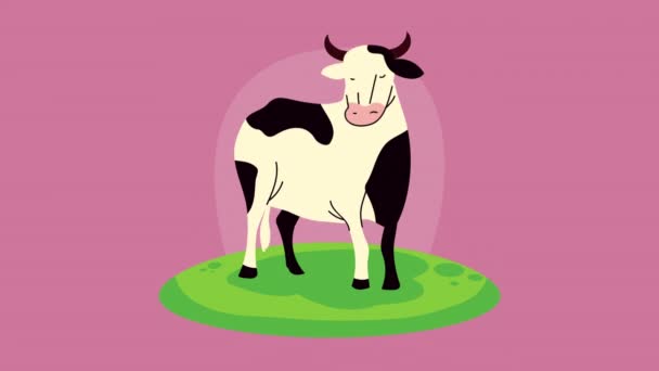 Animation de style de vie à la ferme avec vache — Video