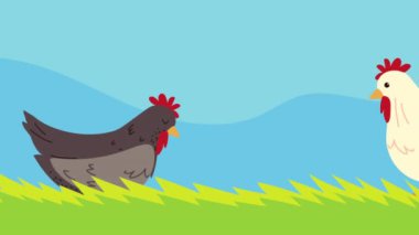 Tavuklu çiftlik yaşam tarzı animasyonu