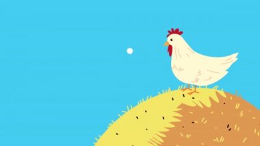 saman ve tavukla çiftlik hayatı animasyonu