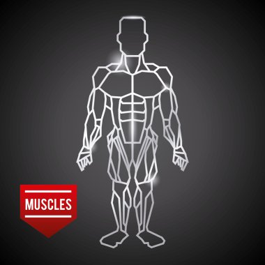 vücut geliştirme tasarım 