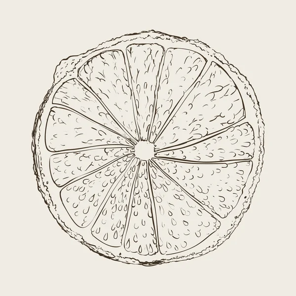 Desenho de fruto desenhado — Vetor de Stock