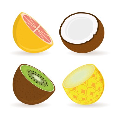Meyve tasarım, vektör çizim.