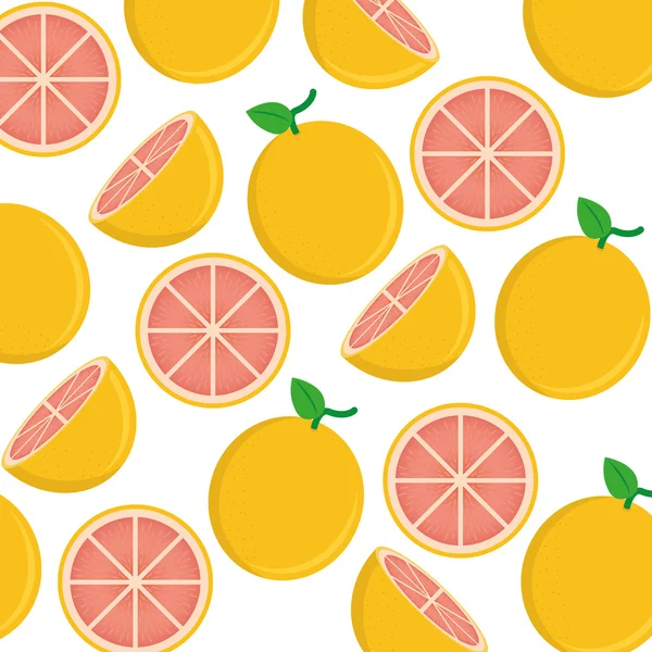 Conception de fruits, illustration vectorielle . — Image vectorielle
