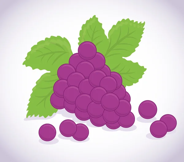 Fruits design, vector illustration. — Stock Vector