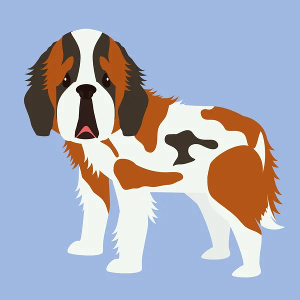 Hond ontwerp, vectorillustratie. — Stockvector
