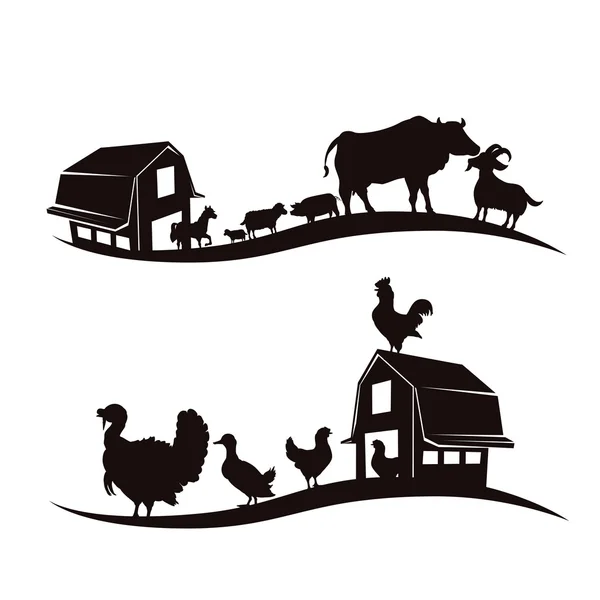 Farm animal design. — Stock Vector
