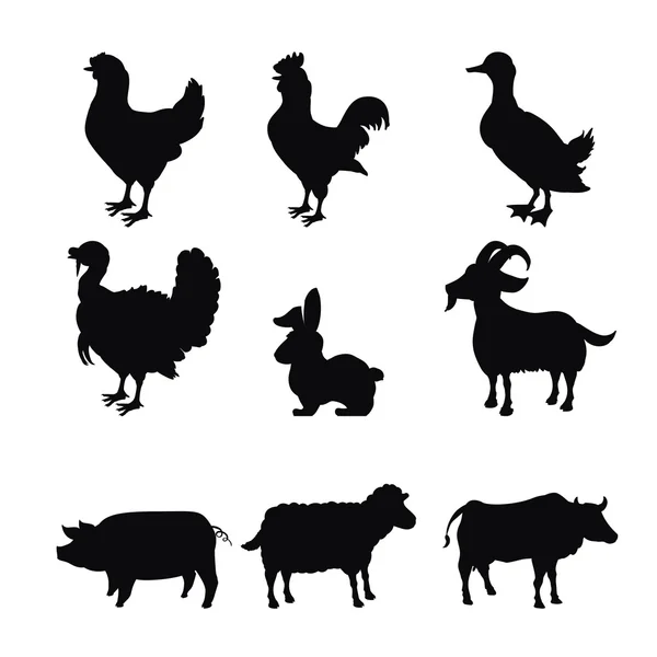 Farm animal design. — Stock Vector