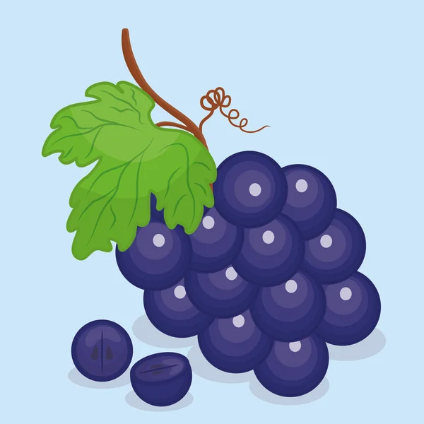 Diseño de frutas . — Vector de stock