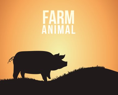 çiftlik taze tasarım