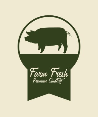 çiftlik taze tasarım