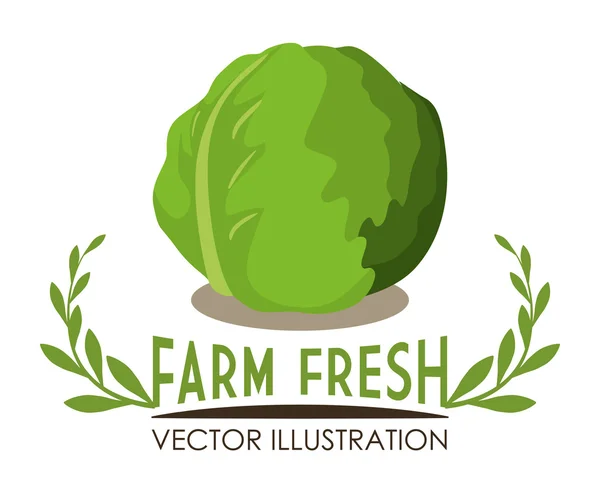 Farma čerstvý design — Stockový vektor