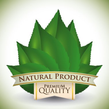 doğal ürün tasarımı.